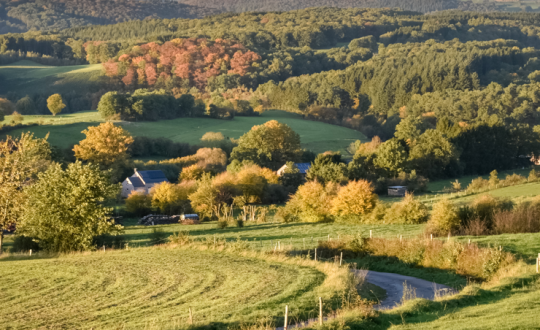 Glamping in de Ardennen