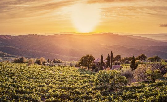 Glampings in Toscane