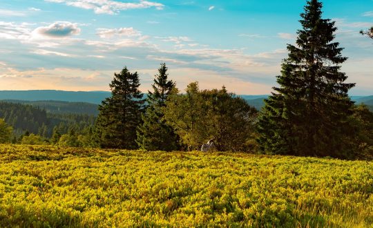 Een vakantie bij UplandParcs Sauerland