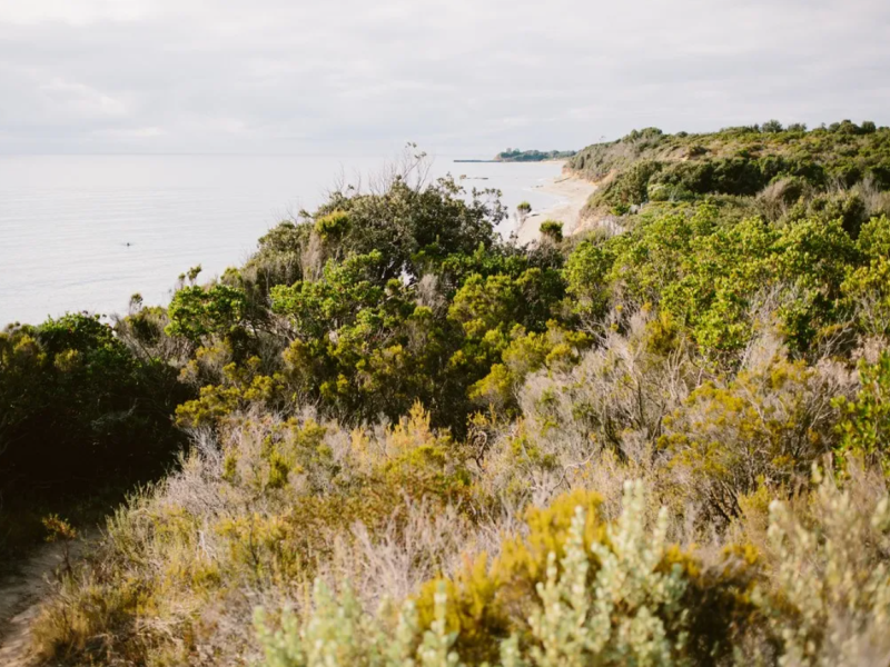 Vakantie aan de kust van Corsica