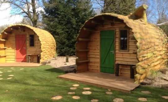Boomstam op Veluwecamping de Pampel - Glamping.nl