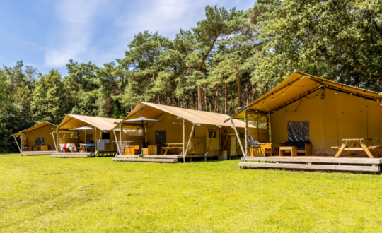 De Katjeskelder - Glamping.nl