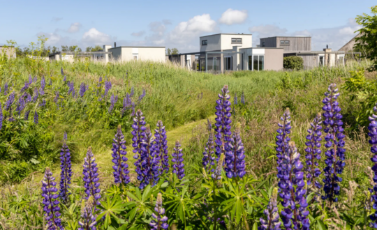 Vakantiepark Callassande - Glamping.nl