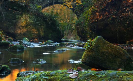 De natuur in Luxemburg ontdekken 