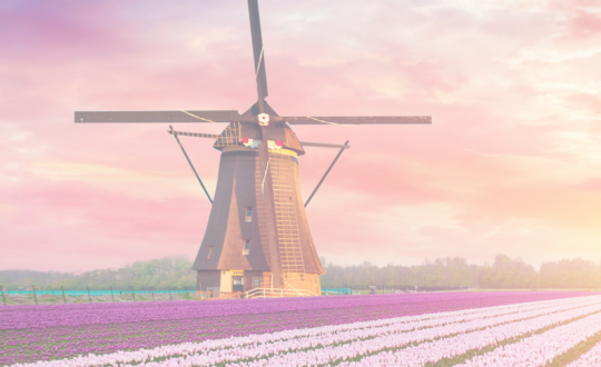 Glamping.nl: wat doen we allemaal?