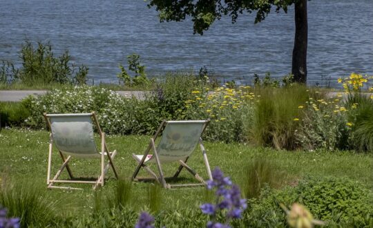 Neder-Oostenrijk: van groen tot bloem