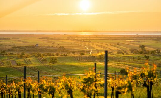 Burgenland: een waar paradijs voor natuurliefhebbers